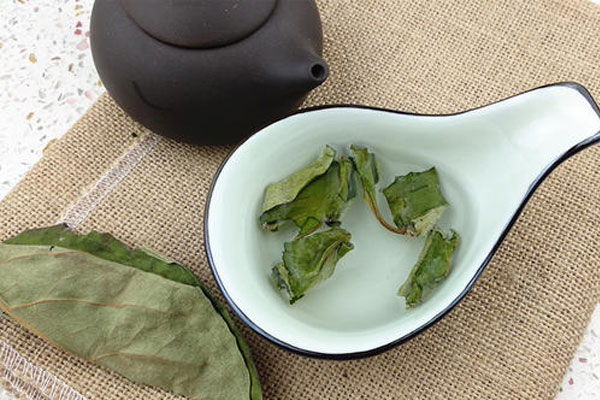 什么叫做茶外茶 药茶可以治疗疾病吗 决明子茶的功效