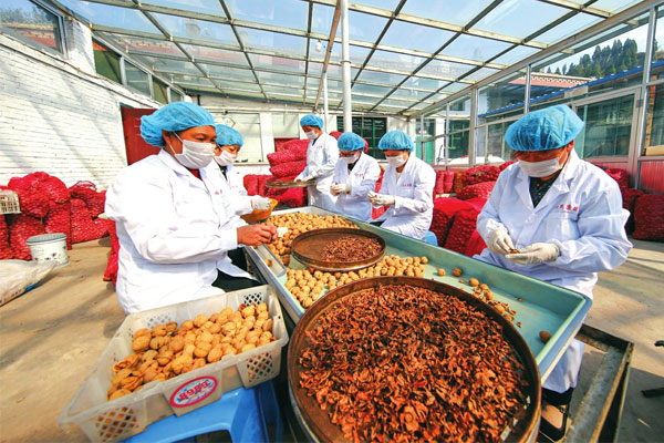 长治药茶获专项支持 药茶产品研发与产业化开发项目