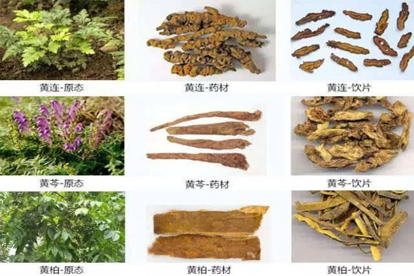 黄芩的功效 中药三黄指哪些 三黄的作用