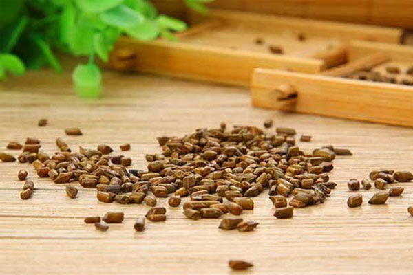 什么叫做茶外茶 药茶可以治疗疾病吗 决明子茶的功效