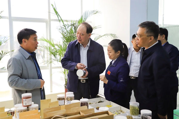 山西药茶发展历程 振东制药牵头发展药茶