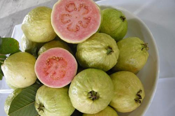 山西药茶