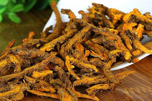 黄连,黄连的作用,中药黄连