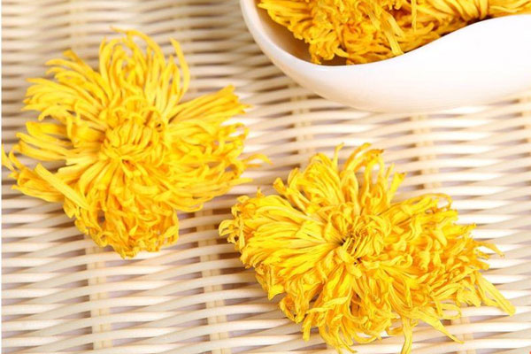 金丝黄菊