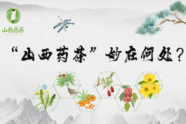 山西药茶妙在何处