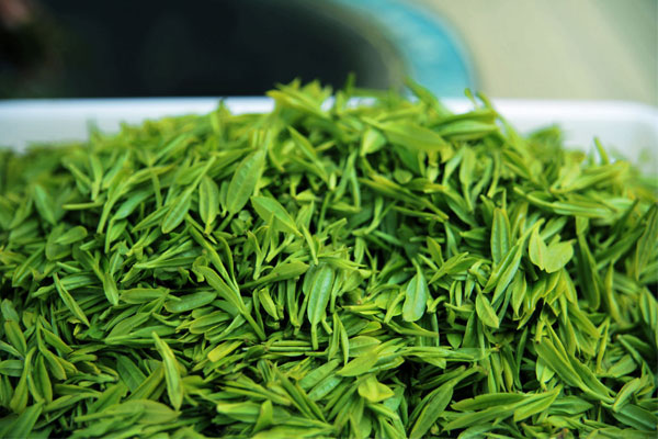 绿茶