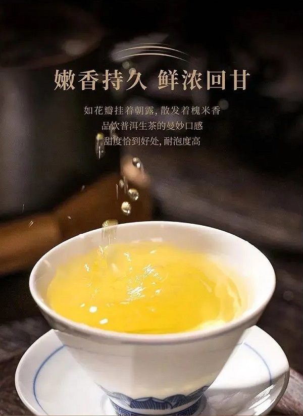 山西药茶