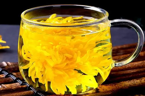 菊花茶的作用